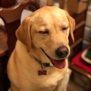 Meet your Posher, Olga